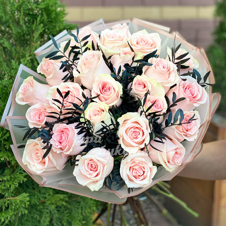 Букет из нежно-розовых роз (на фоне кипариса)