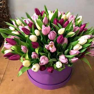 101 фиолетовый и белый тюльпан