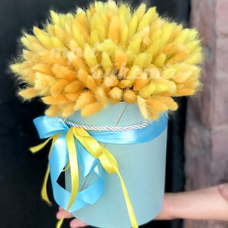 Желтый лагурус в коробке