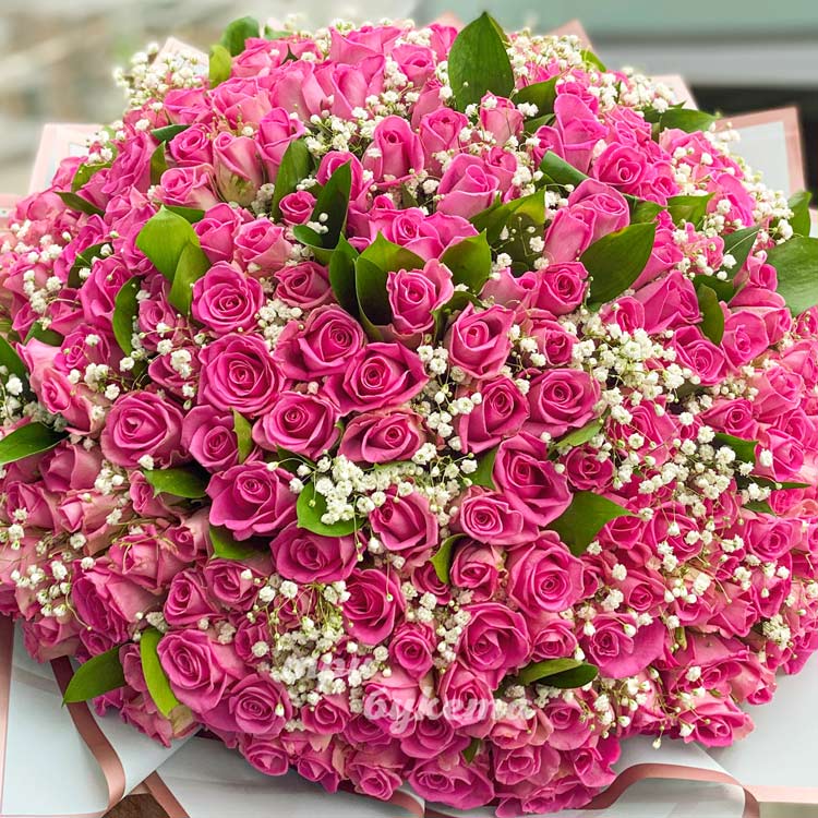 Букет из 251 розовой розы с гипсофилой (крупный план)
