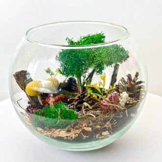 Флорариум из сухоцветов, шишек и мхов