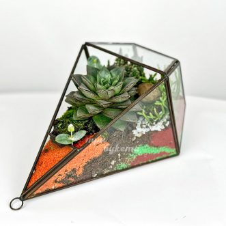 Флорариум из суккулента и яркого песка